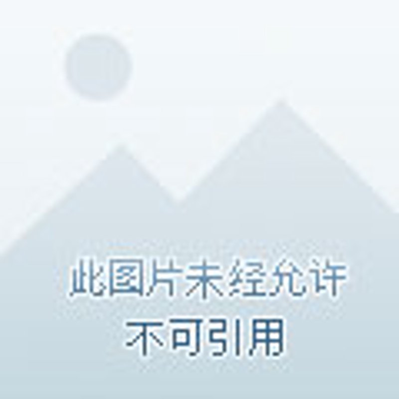 魔芋产品的未来：市场需求与发展趋势