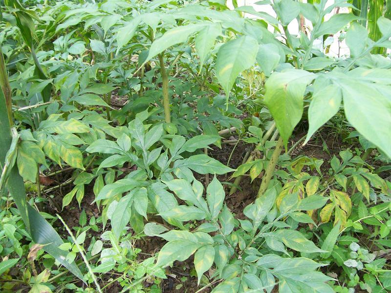 实战攻略类：如何选择适合的生物科技合作伙伴